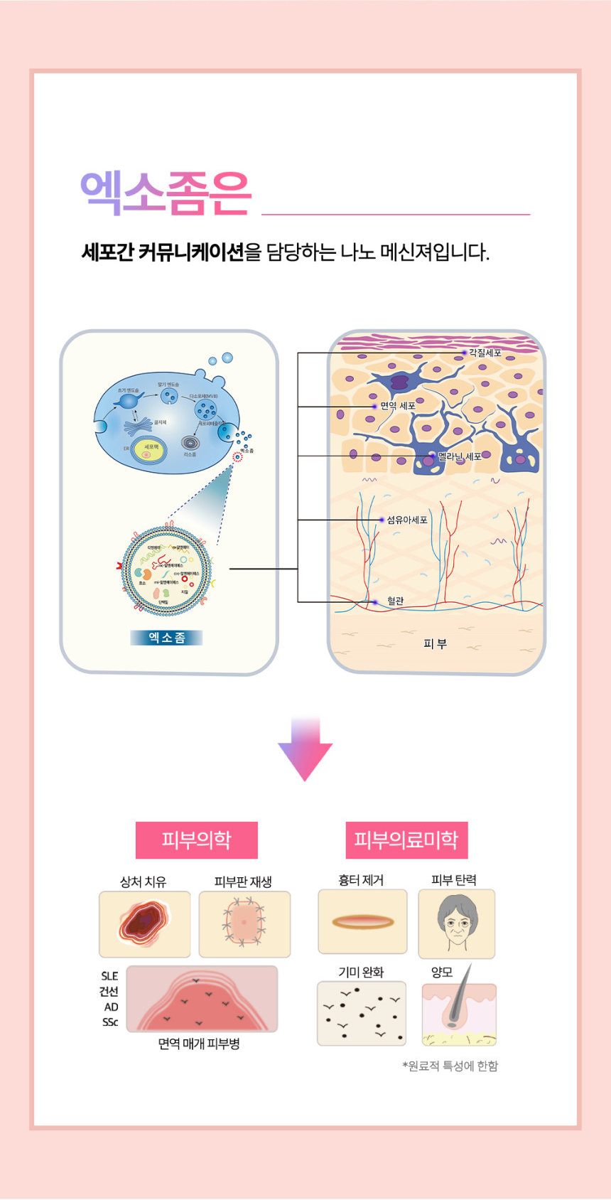 Puritige Return Recipe Collagen Capsule(14EA)