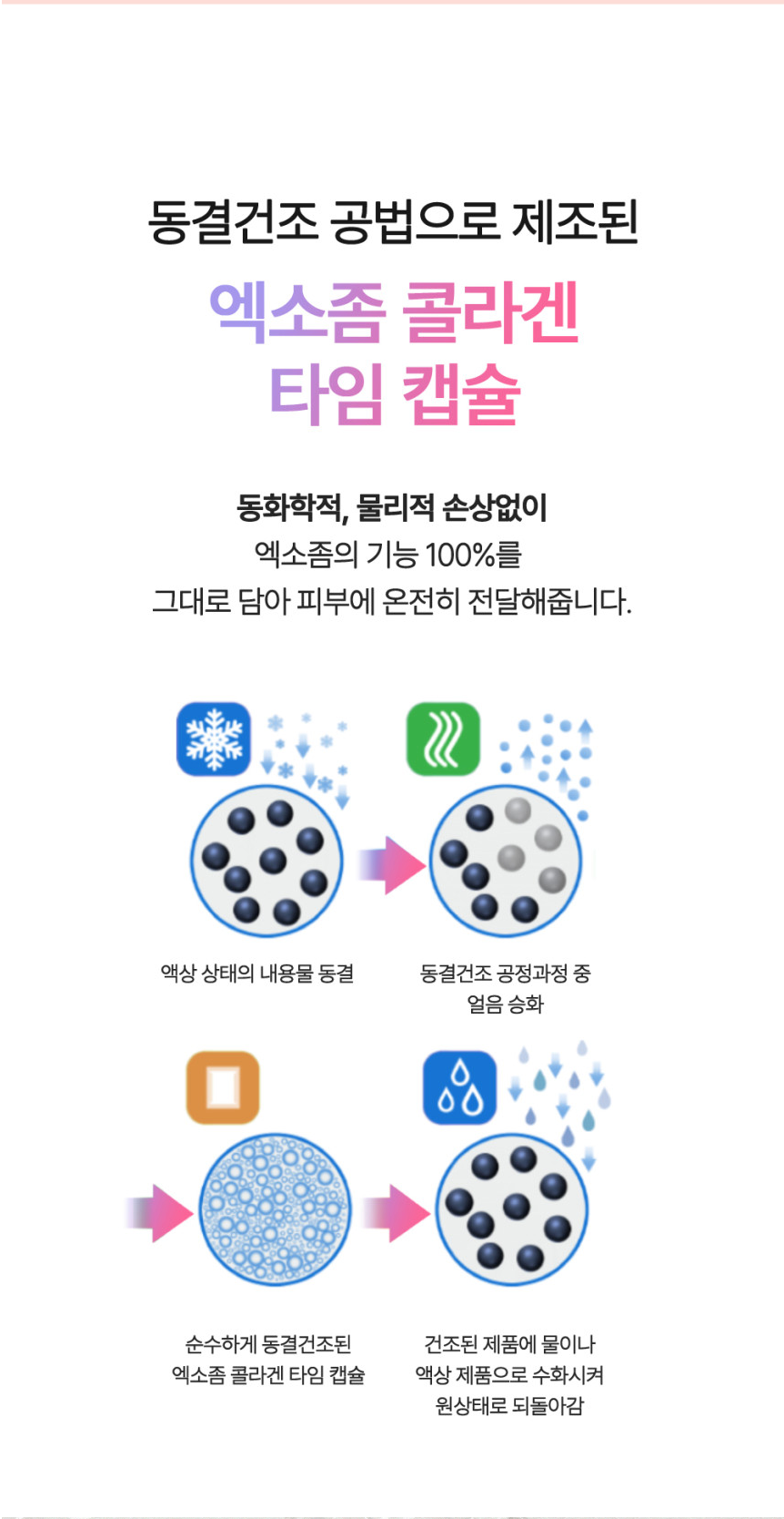 Puritige Return Recipe Collagen Capsule(14EA)